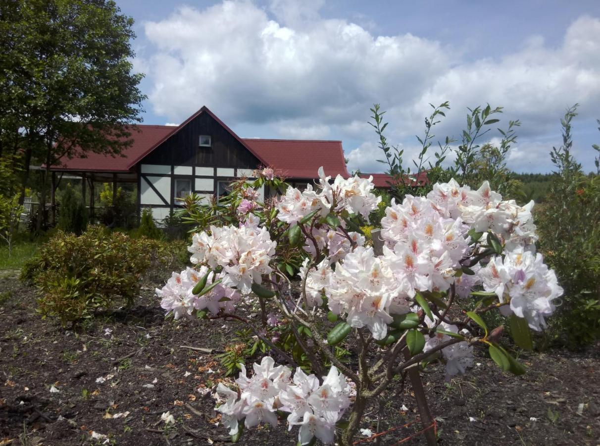 Dom Rybaka Villa Mirosławiec Kültér fotó